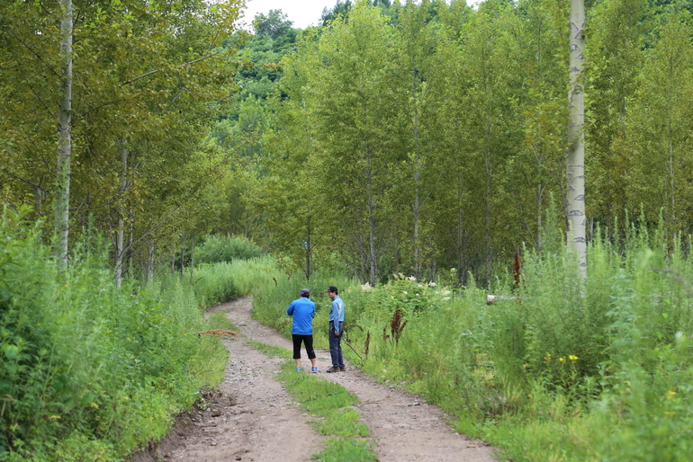 点击查看原图大小
