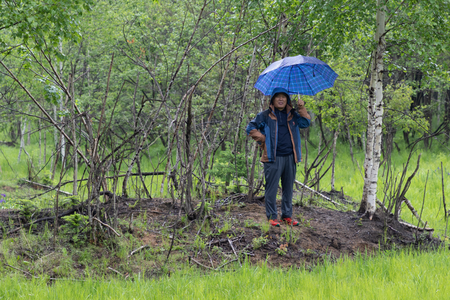 点击查看原图大小