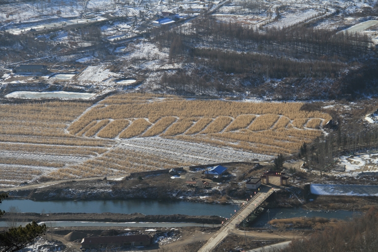 点击查看原图大小