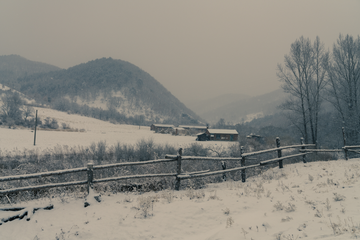 点击查看原图大小