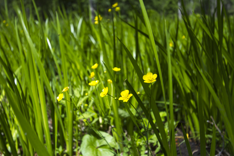 点击查看原图大小