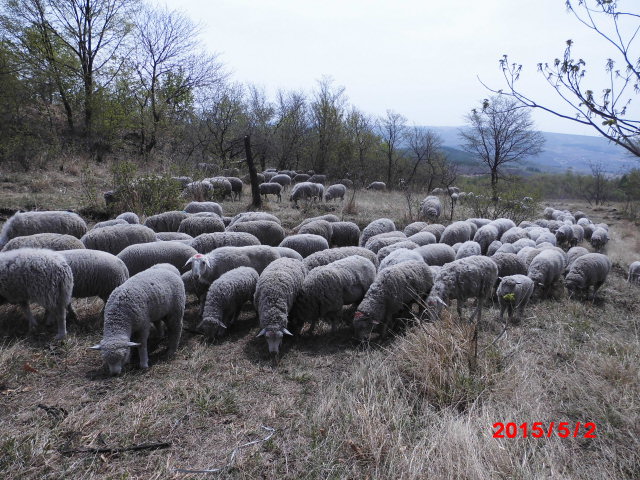 点击查看原图大小