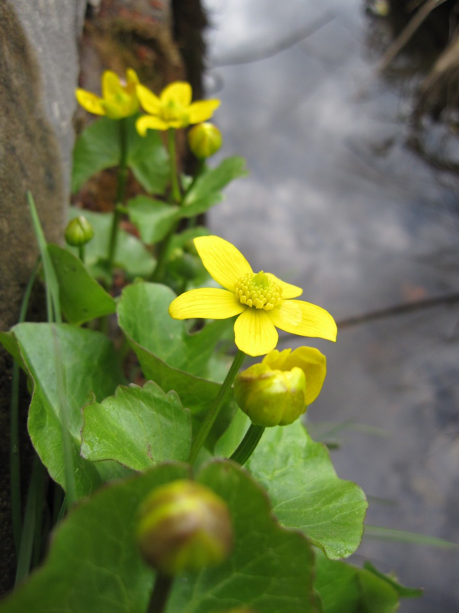 点击查看原图大小