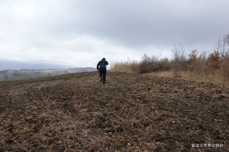 点击查看原图大小