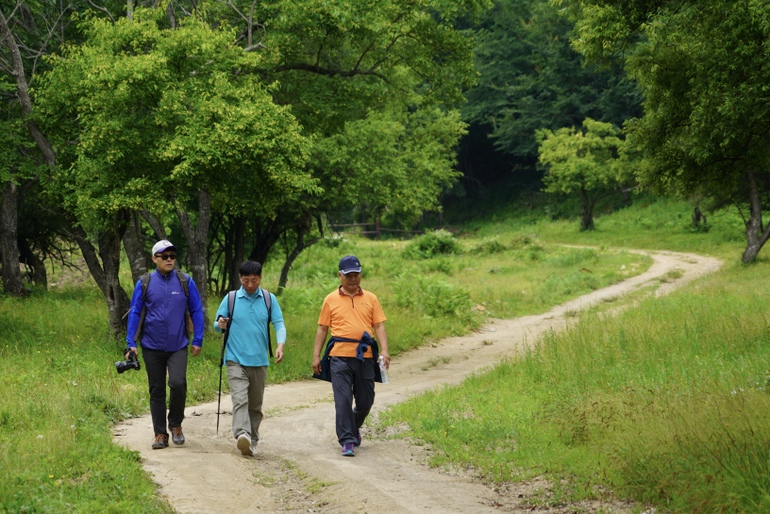 点击查看原图大小