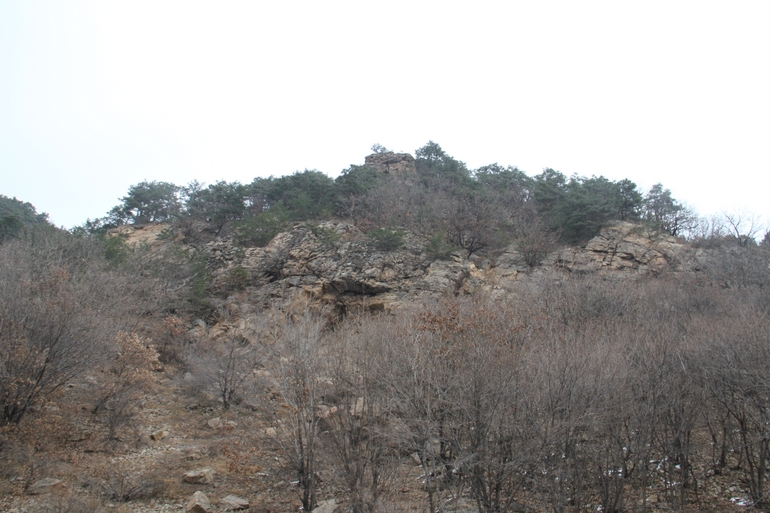 点击查看原图大小