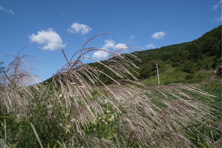 点击查看原图大小