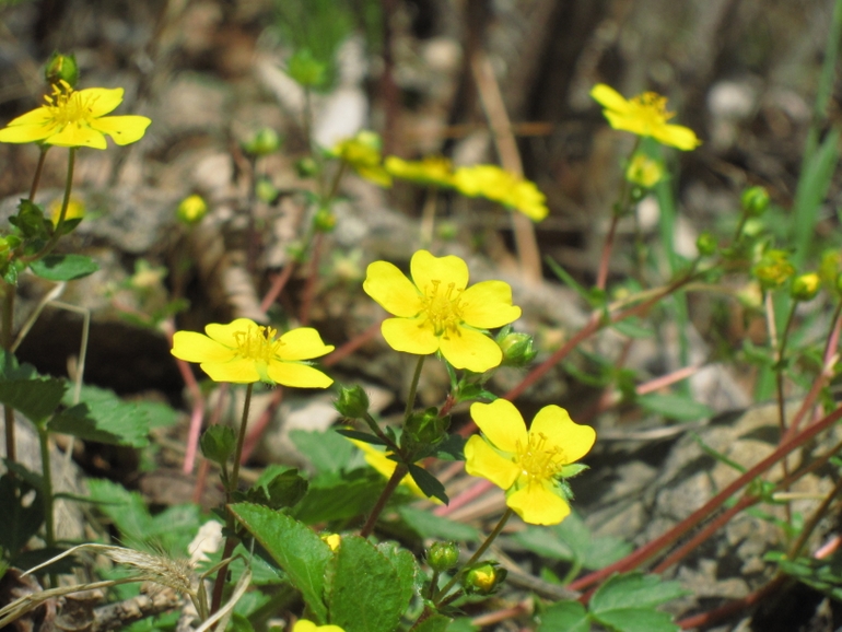 点击查看原图大小