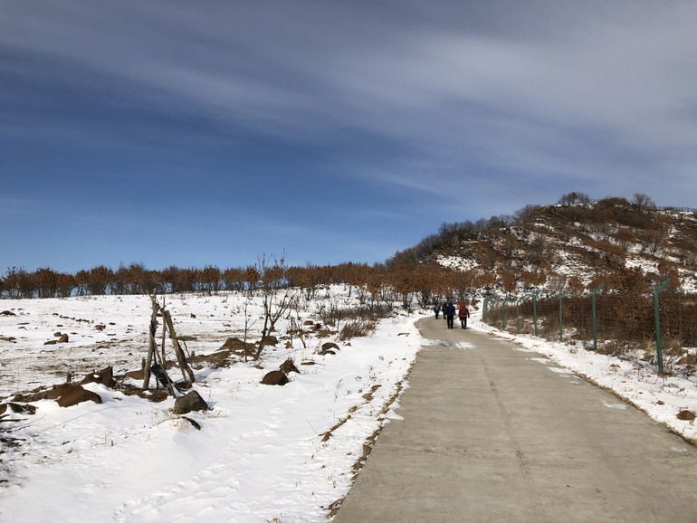 点击查看原图大小