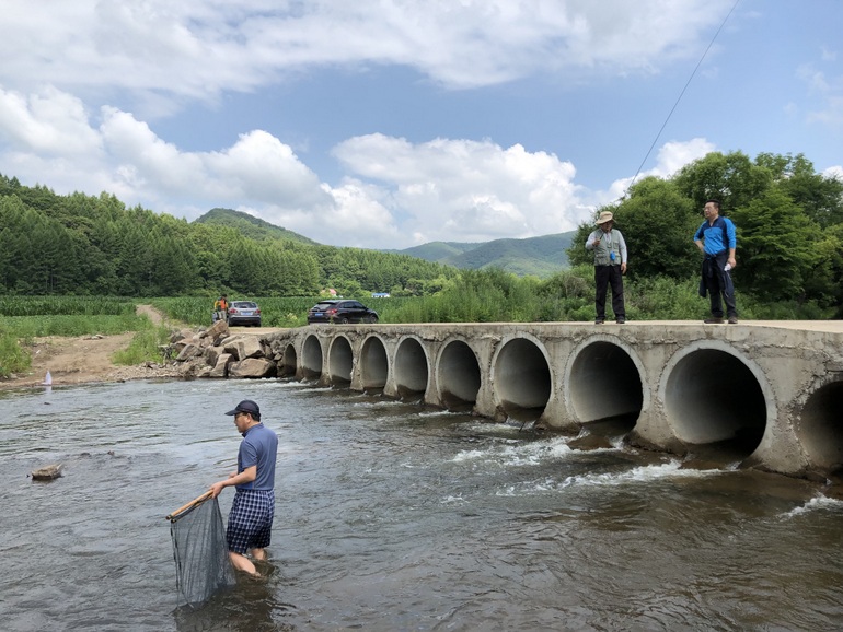 点击查看原图大小