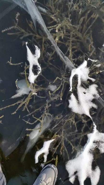 点击查看原图大小