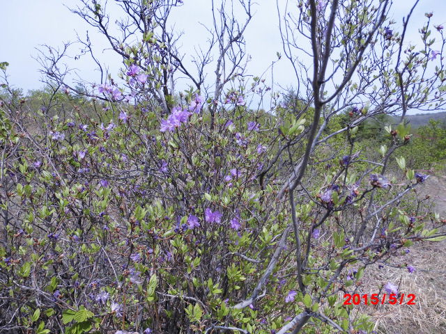 点击查看原图大小