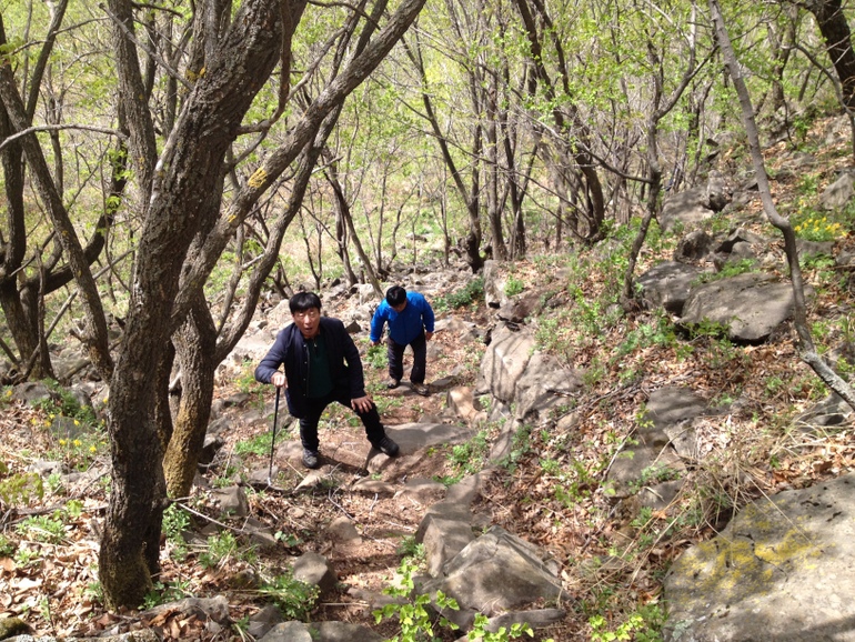 点击查看原图大小