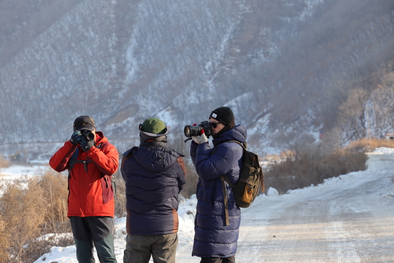 点击查看原图大小