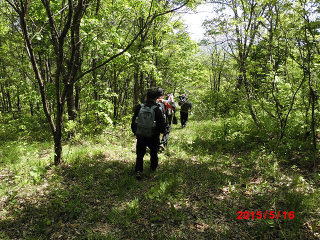 点击查看原图大小