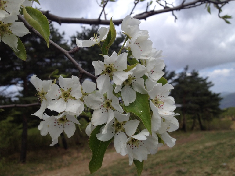 点击查看原图大小