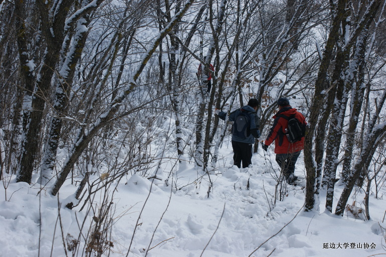 点击查看原图大小