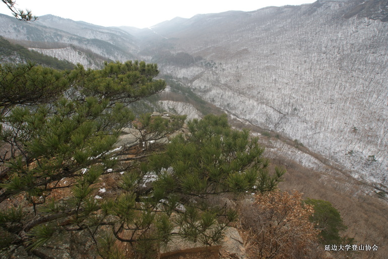 点击查看原图大小