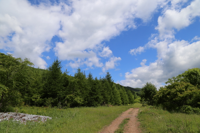 点击查看原图大小