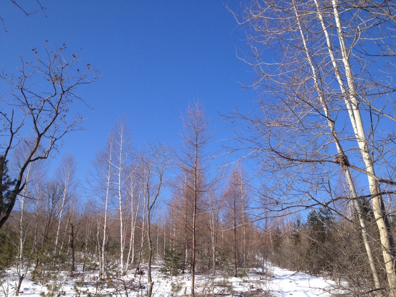 点击查看原图大小