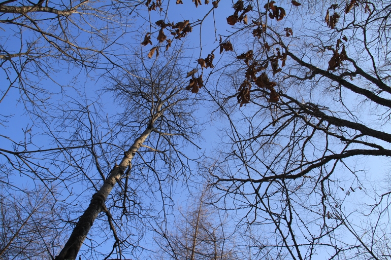 点击查看原图大小