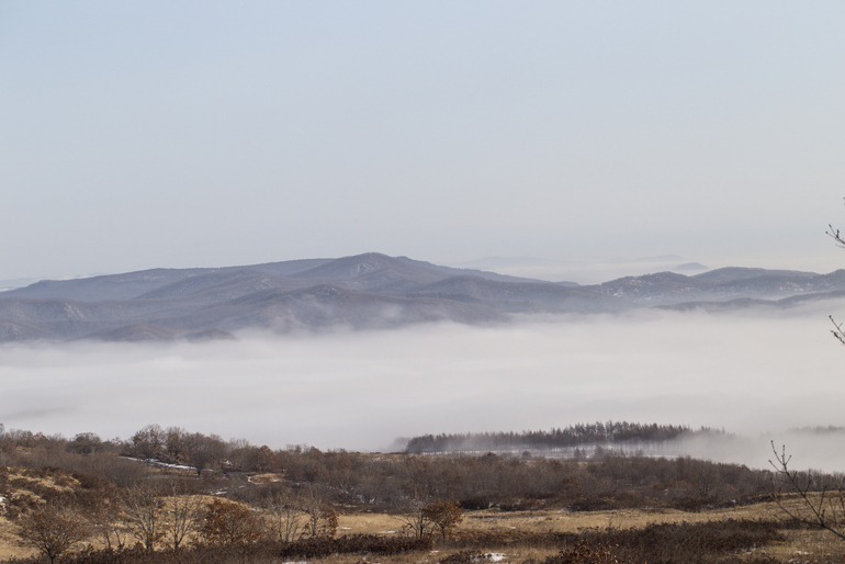 点击查看原图大小