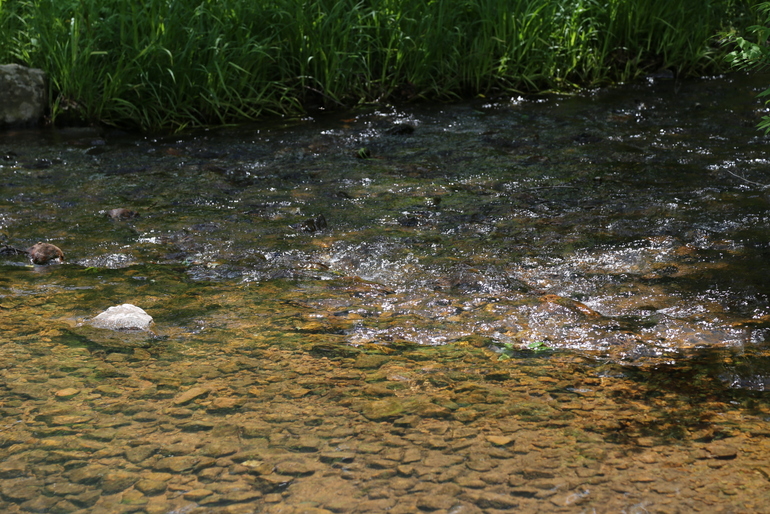 点击查看原图大小