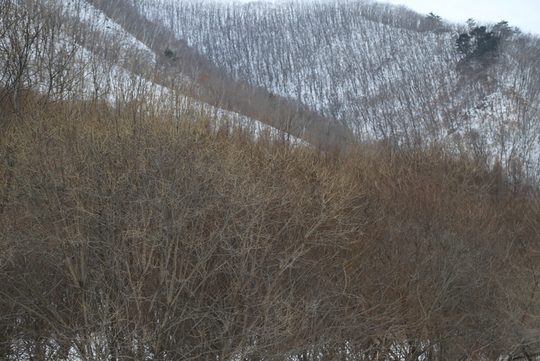 点击查看原图大小