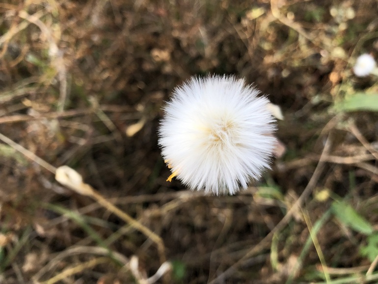 点击查看原图大小