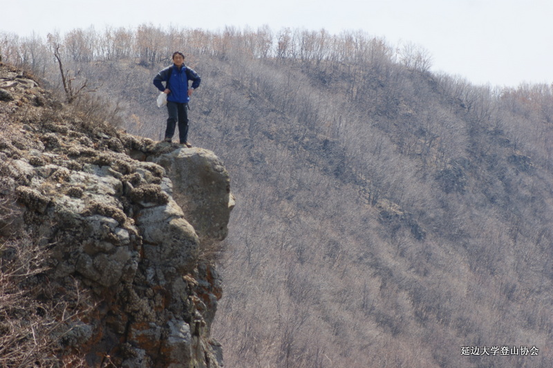 点击查看原图大小