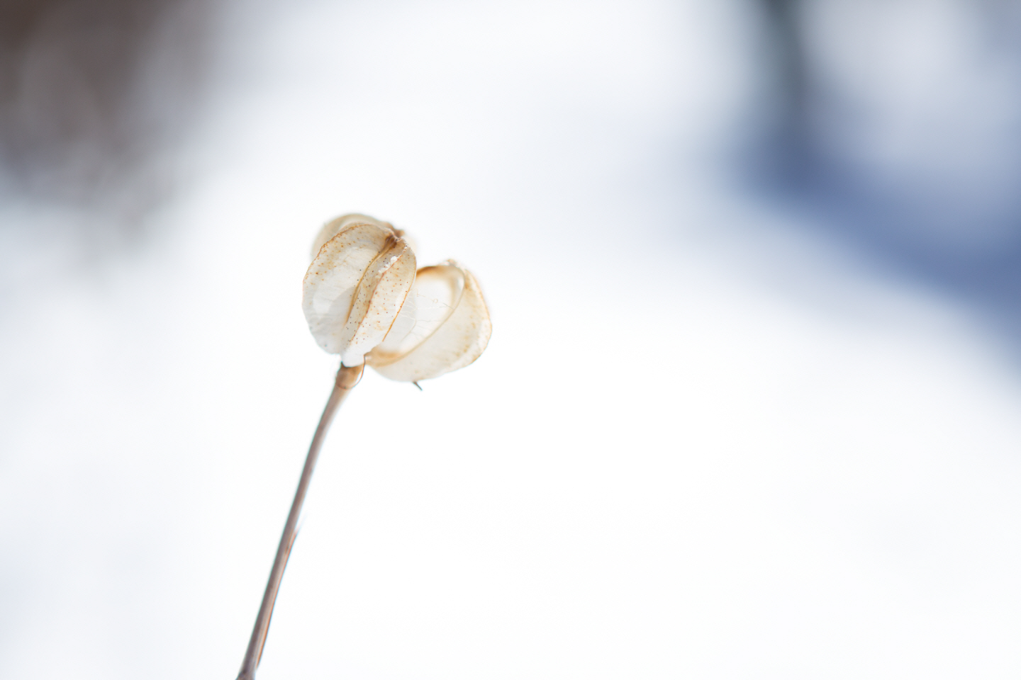 点击查看原图大小