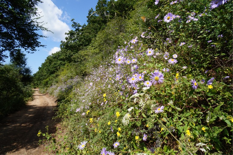 点击查看原图大小