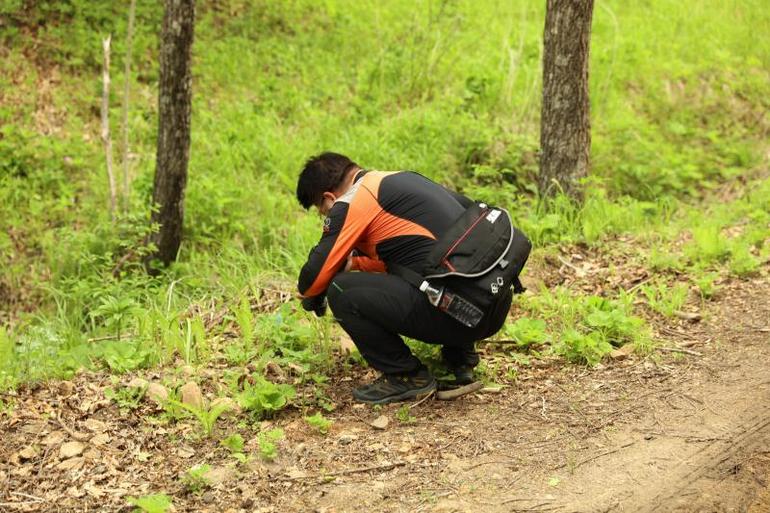 点击查看原图大小