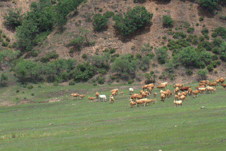 点击查看原图大小