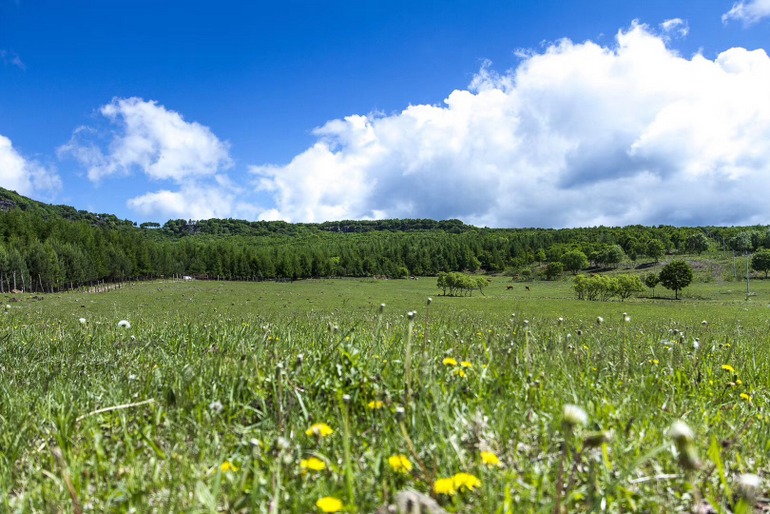 点击查看原图大小