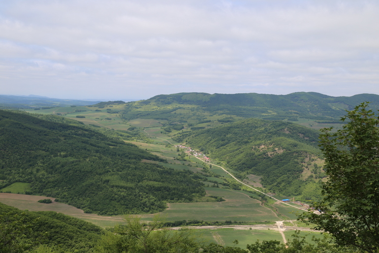 点击查看原图大小