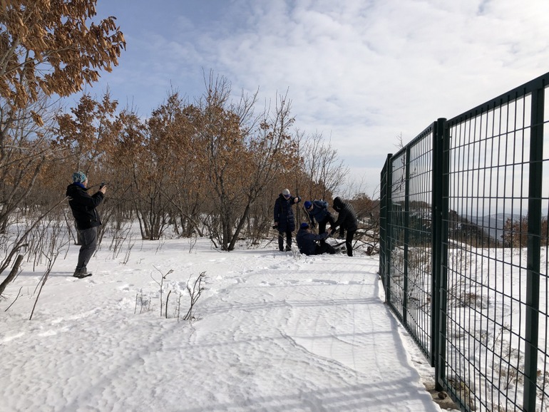 点击查看原图大小