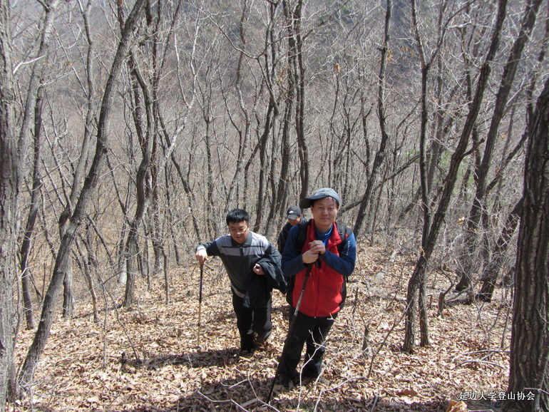 点击查看原图大小