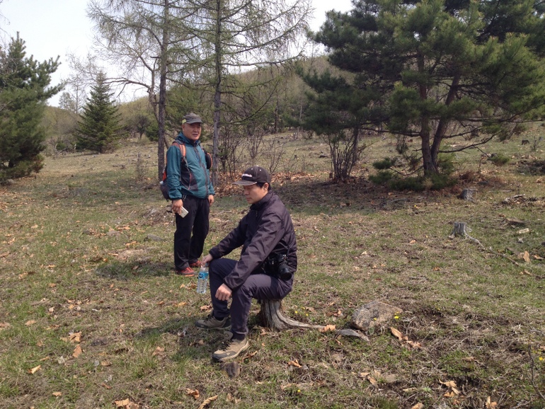 点击查看原图大小