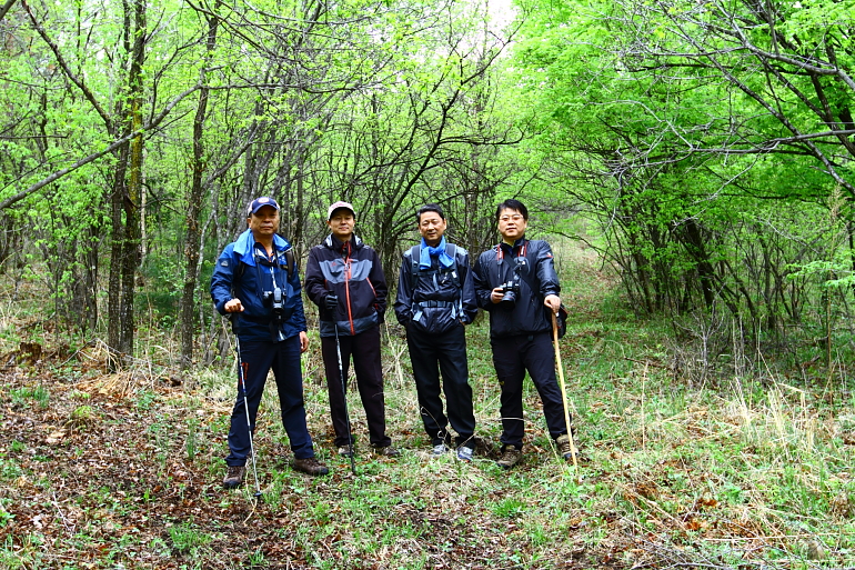 点击查看原图大小