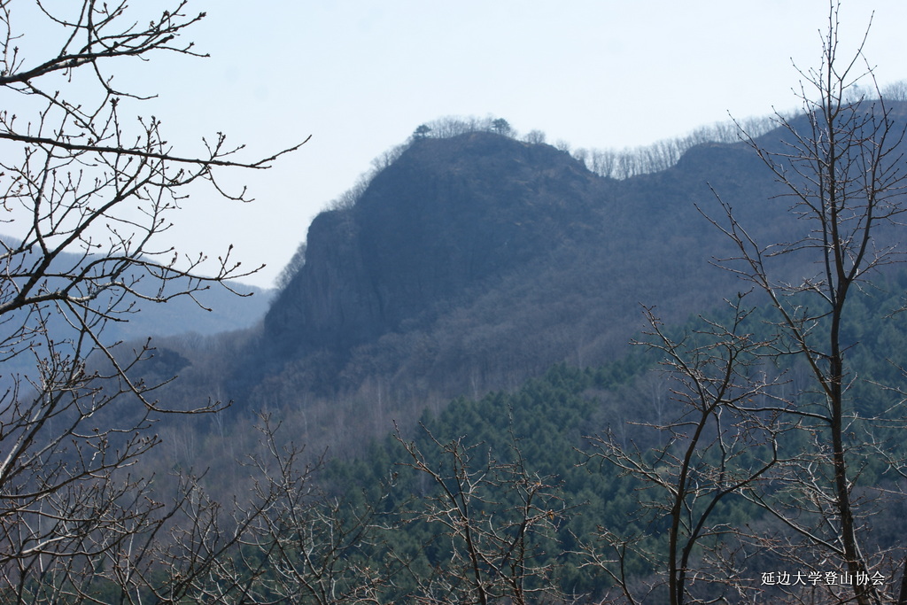 点击查看原图大小