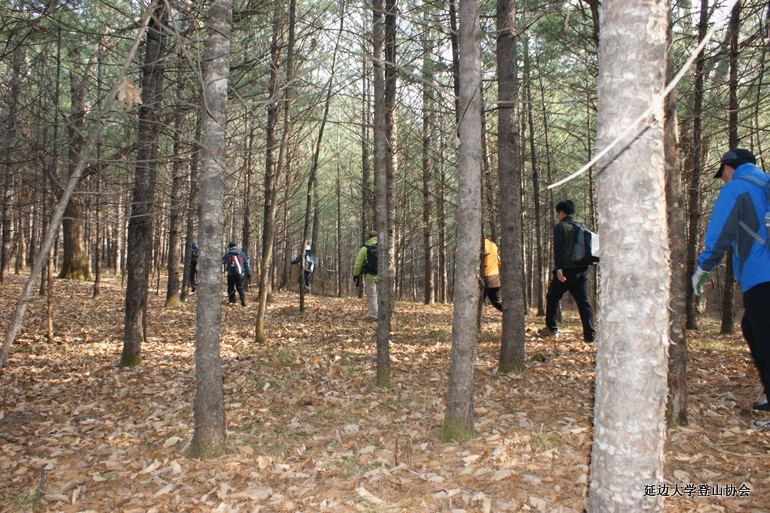 点击查看原图大小