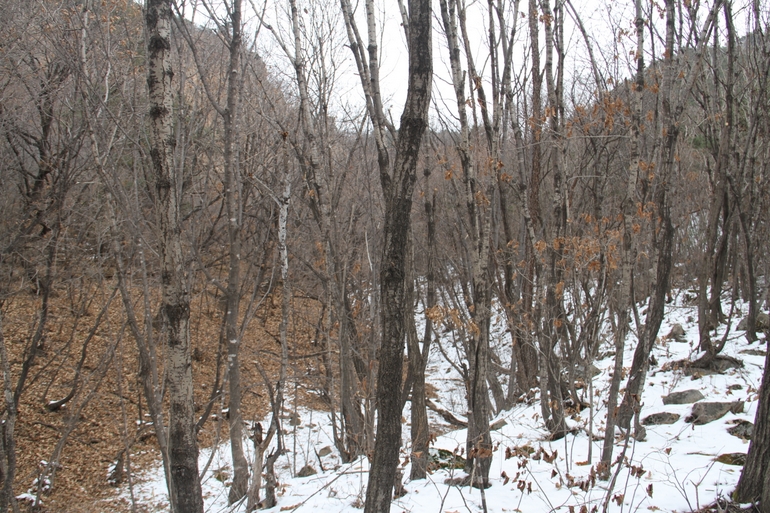 点击查看原图大小