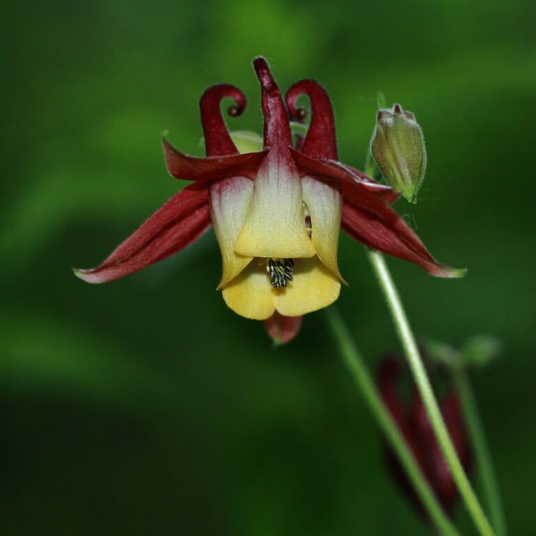 点击查看原图大小