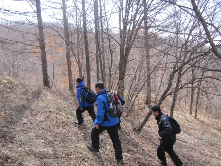 点击查看原图大小