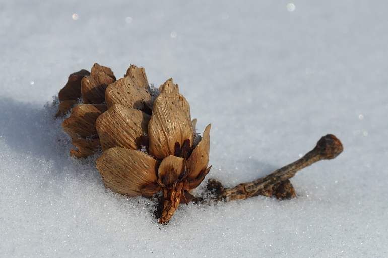 点击查看原图大小