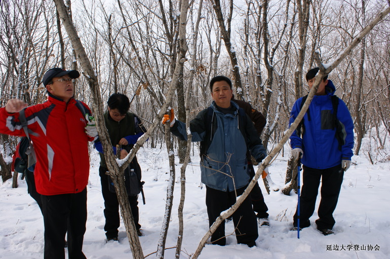 点击查看原图大小