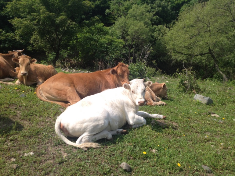 点击查看原图大小