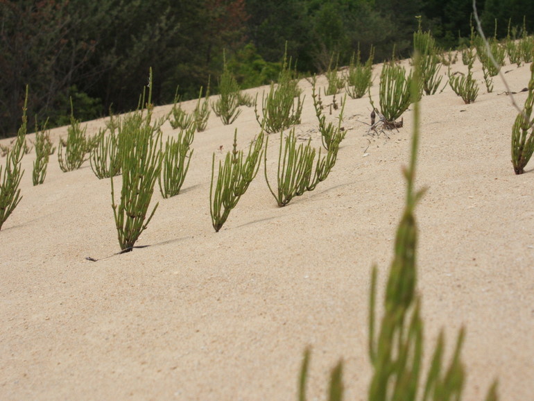 点击查看原图大小