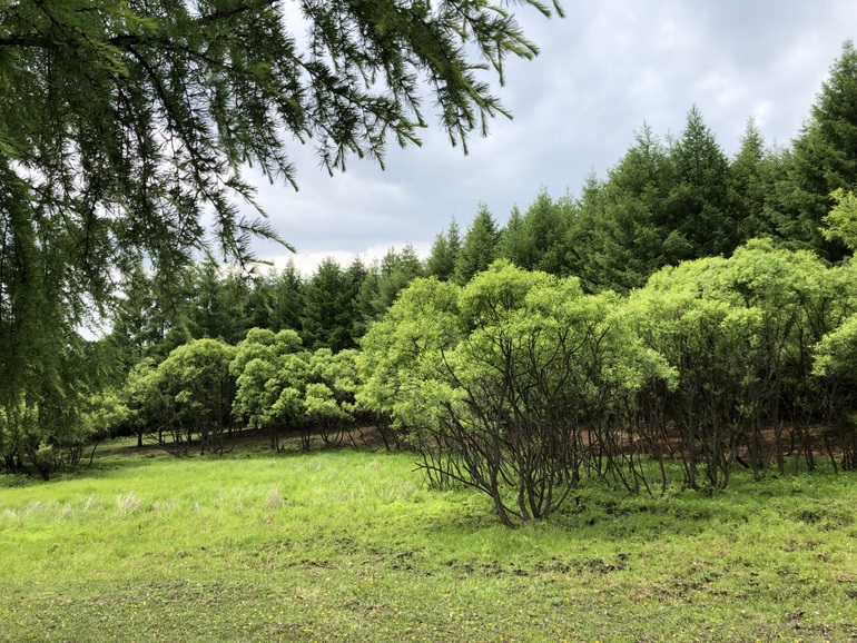 点击查看原图大小